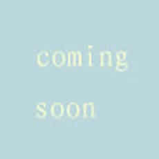 關于DM建站系統